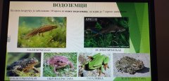 20190306_121114.jpg